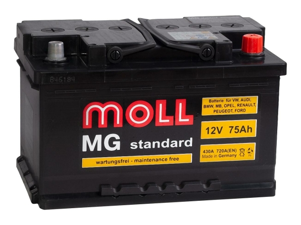 Moll Standard MG 6CT-75SR